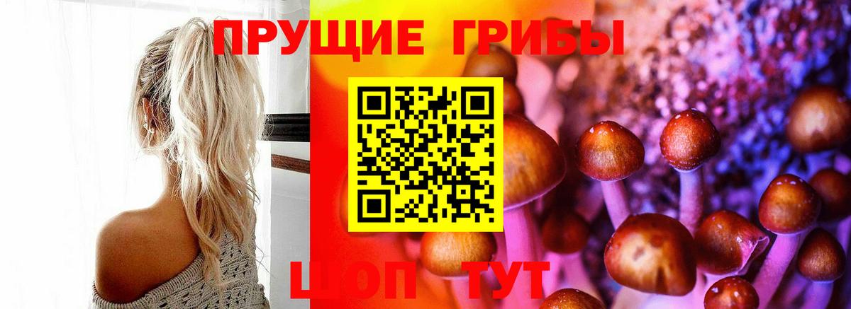 Псилоцибиновые грибы прущие грибы Еманжелинск